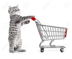 Shopping cart with cat